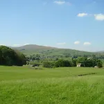 Shepherd's *