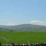 Shepherd's *